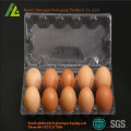 Blister plastic 10 eggs trays